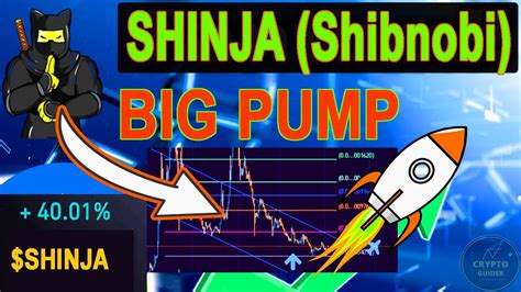 Shinja Coin Price Prediction 2022